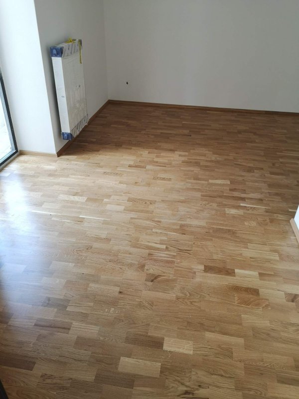 Dub krátké lamely třílamela